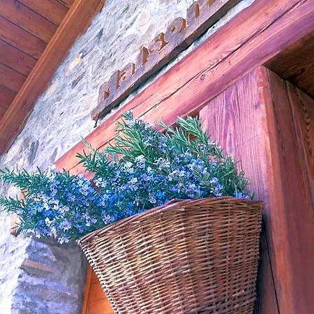 Maison De Noe Отель типа 